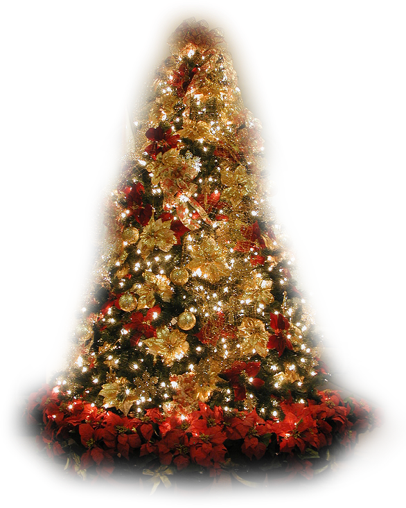 Kerstbomen Plaatje