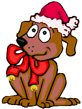 Dieren plaatjes