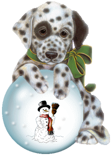 Dieren plaatjes
