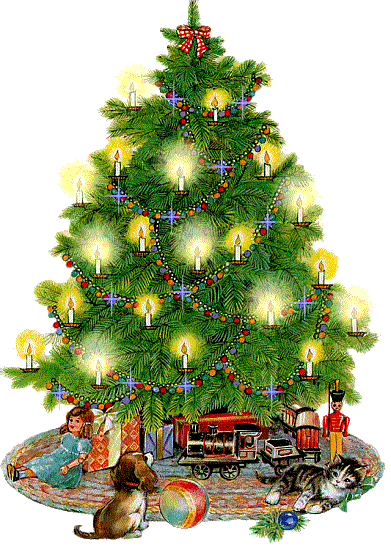 Kerstbomen
