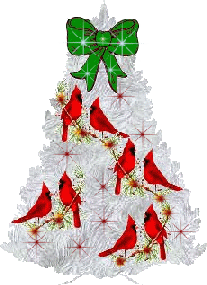 Kerstbomen plaatjes