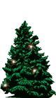 Kerstbomen plaatjes