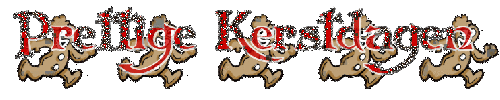 Fijne kerstdagen wensen