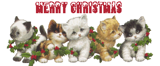 Merry christmas wensen