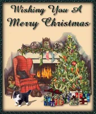 Merry christmas wensen