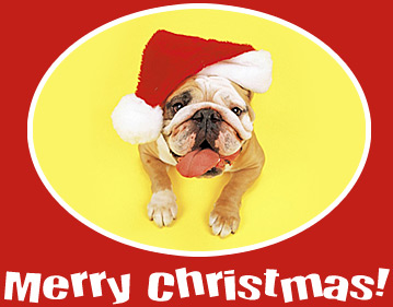 Merry christmas wensen